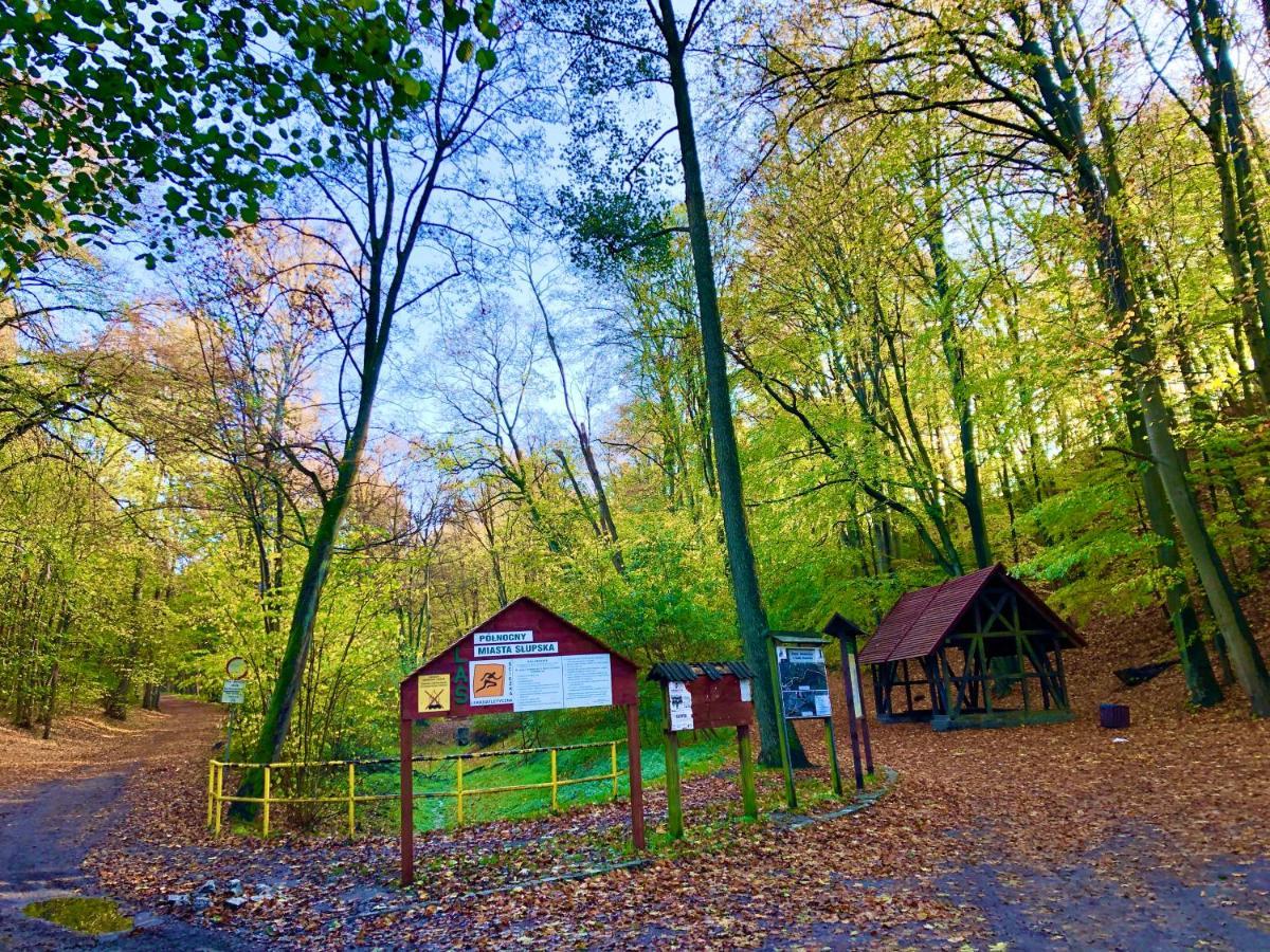 Las Slupski Premium Panoramic Apartament Nr8 Wifi Netflix Smart Tv55 Full Kitchen Double Bathtub Up To 4 People Full Pleasure Quality Stay (Adults Only) Buitenkant foto